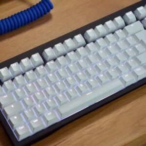 Wooting 80HE Low-Latency 80% Layout Analog Keyboard